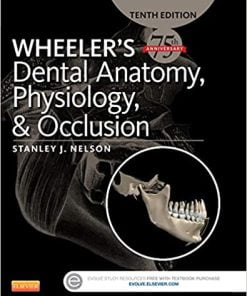 Test Bank for Wheeler’s Dental Anatomy, Physiology and Occlusion