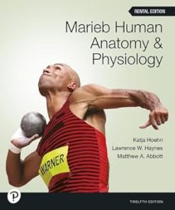 Test Bank for Marieb Human Anatomy & Physiology, Katja Hoehn, Lawrence W. Haynes & Matthew A. Abbott, 12th Edition