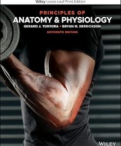 Test Bank for Principles of Anatomy and Physiology, Gerard J. Tortora & Bryan H. Derrickson, 16th Edition