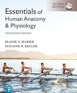 Test Bank for Essentials of Human Anatomy & Physiology, Elaine N. Marieb & Suzanne M. Keller, 13th Global Edition